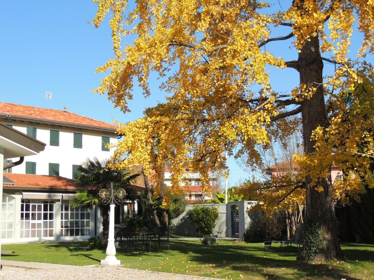 Ginkgo Guest House Ronchis Exterior foto
